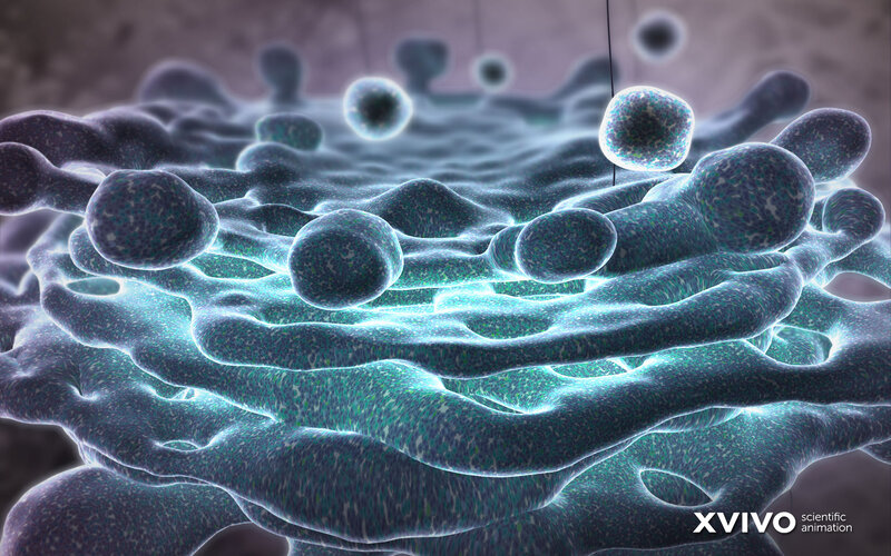 Microscopic Cells — Blue