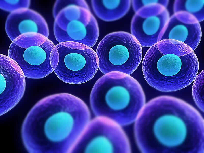 Microscopic Cells