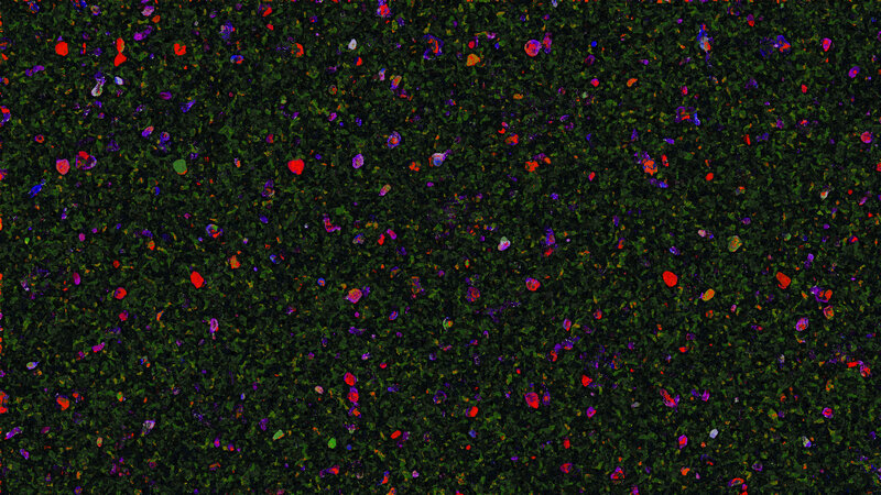 Microscopic Cellular View — Green