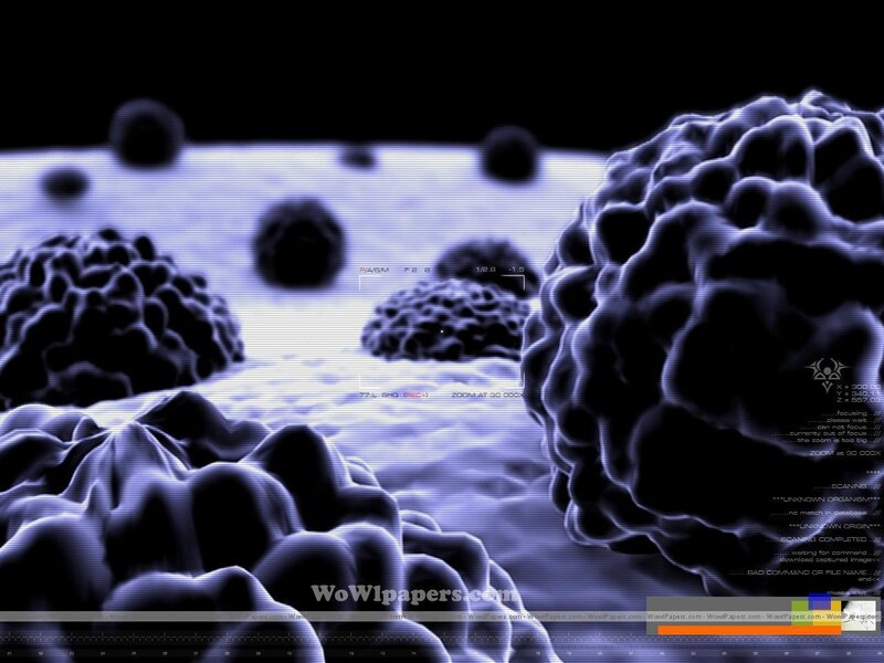 microscopic cellular view