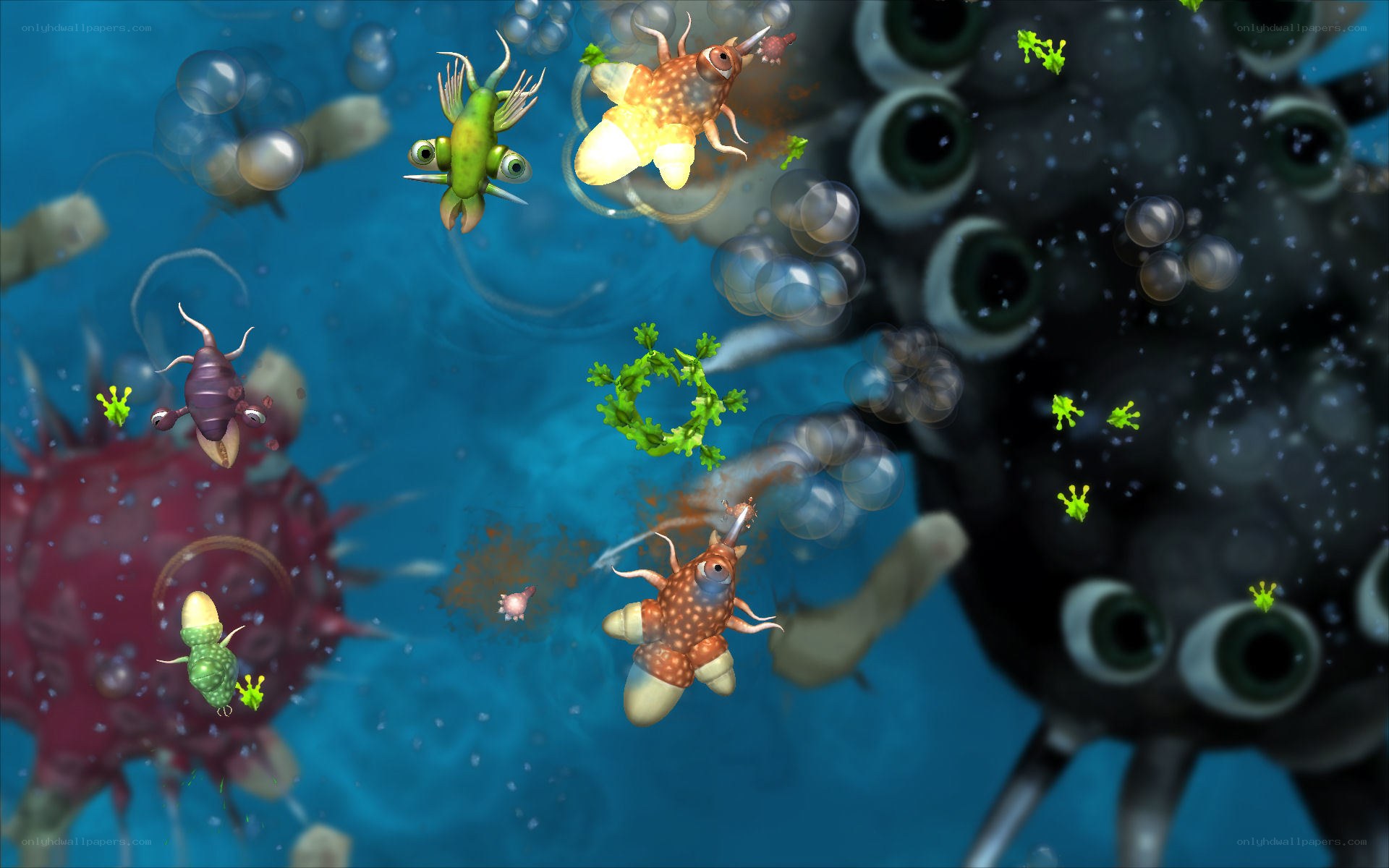 Microscopic creatures in aquatic environment