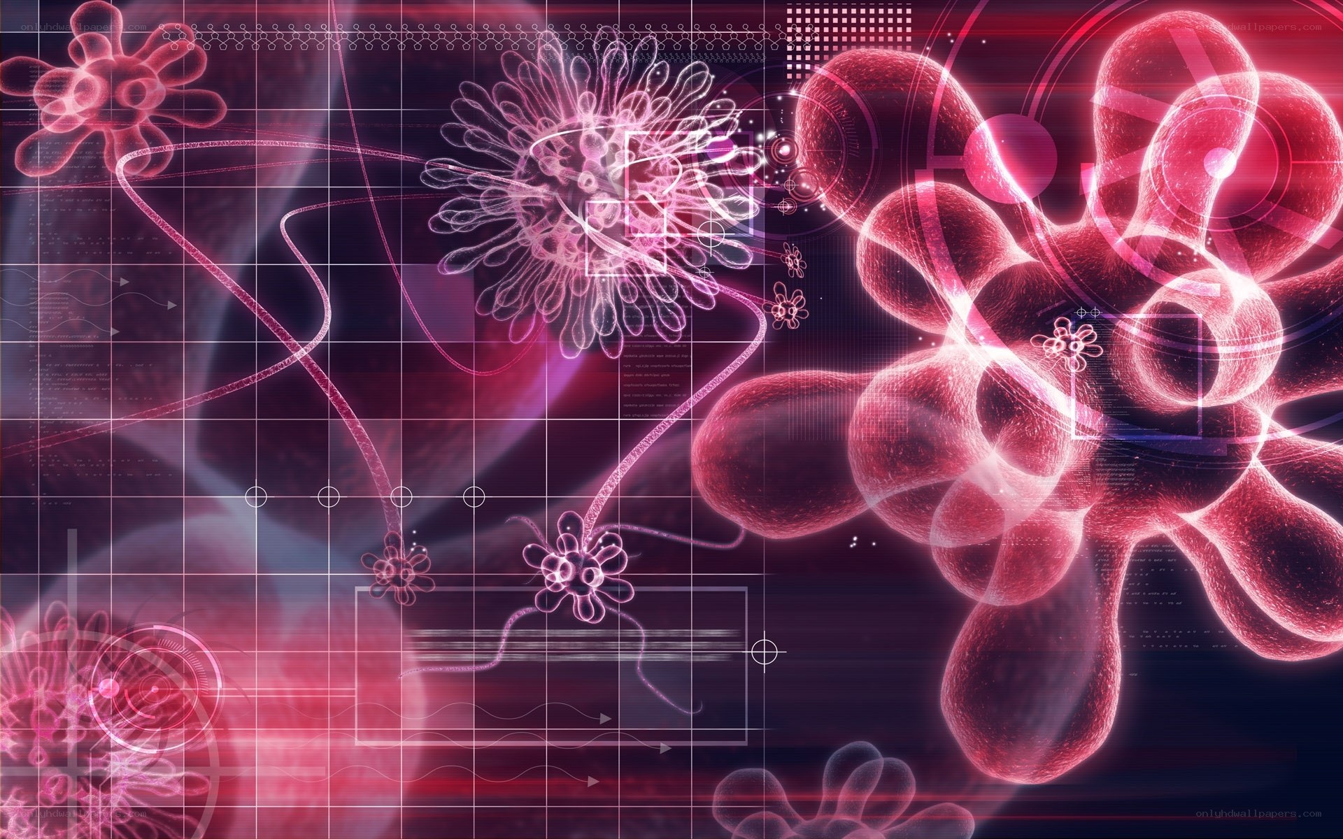 Microscopic digital biology