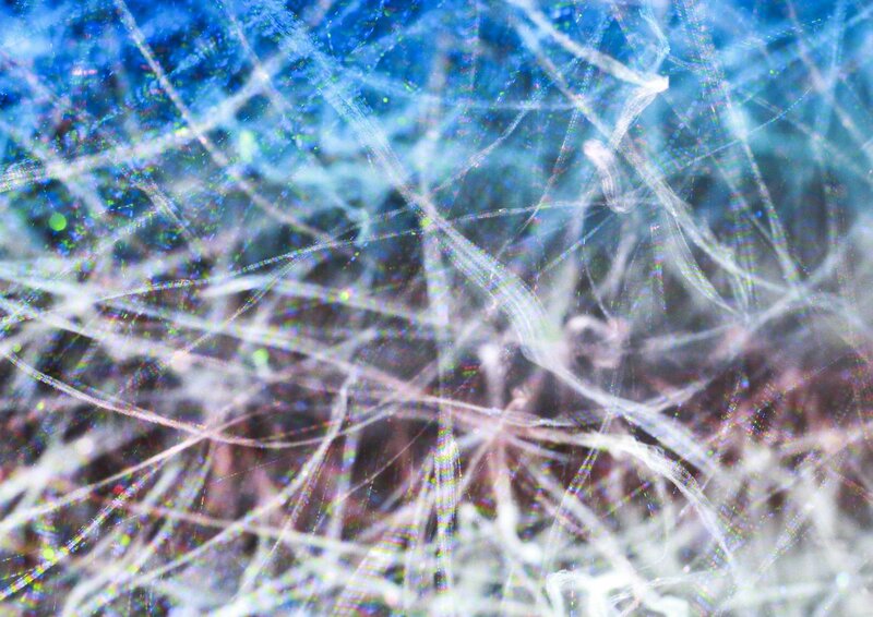 microscopic fiber network