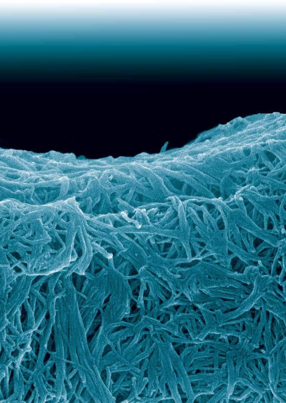 Microscopic Fiber Network — Blue