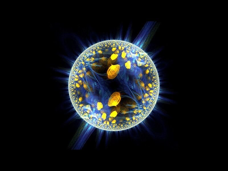 Microscopic Organism
