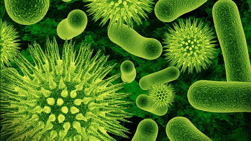 Microscopic Organisms — Green, Scientific, Digital Art