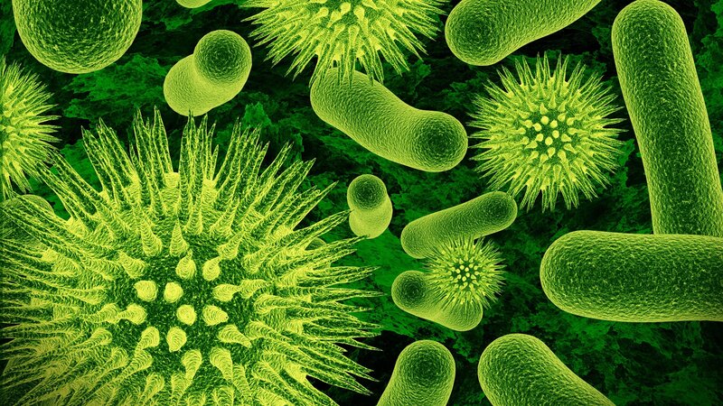 Microscopic Organisms — Green, Scientific