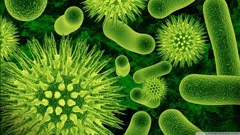 Microscopic Organisms — Green
