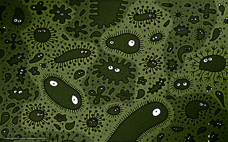microscopic organisms wallpaper