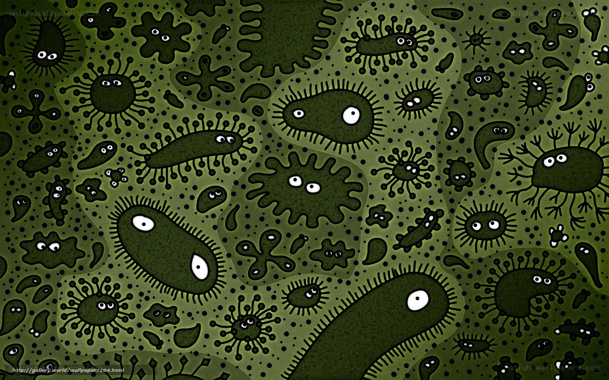 microscopic organisms wallpaper
