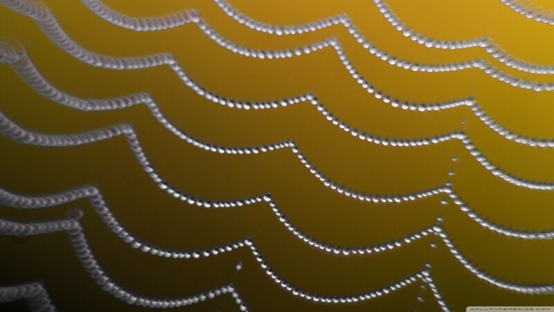 Microscopic Organisms — Yellow