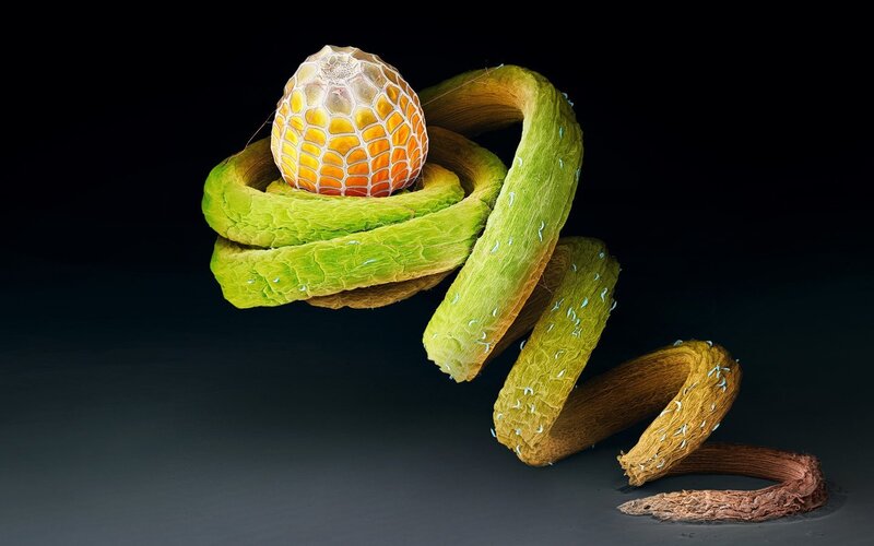 Microscopic Plant Structure — Green