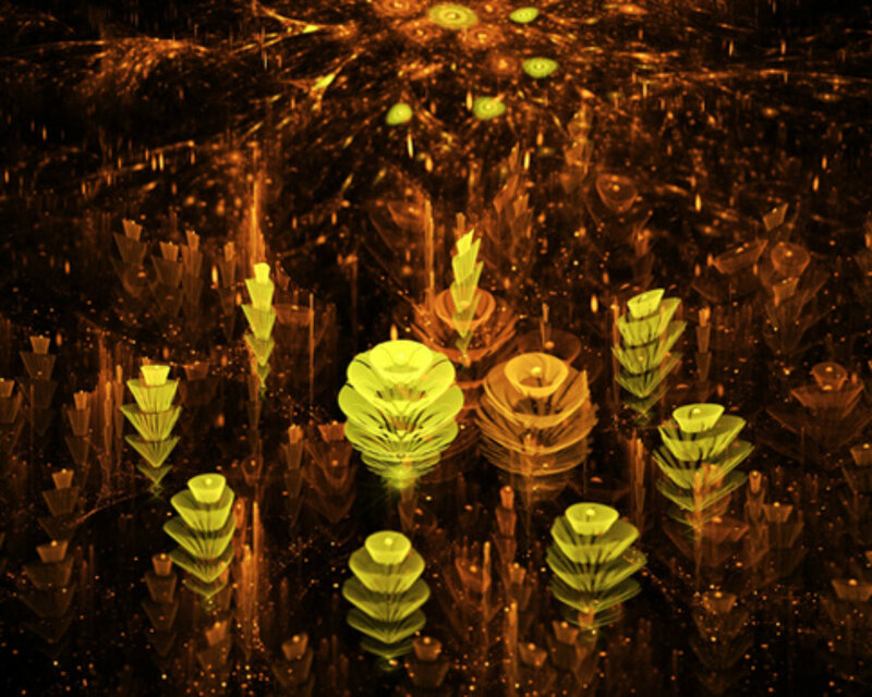 Microscopic Plant Structures — Yellow