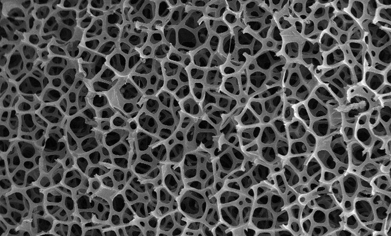 microscopic porous structure