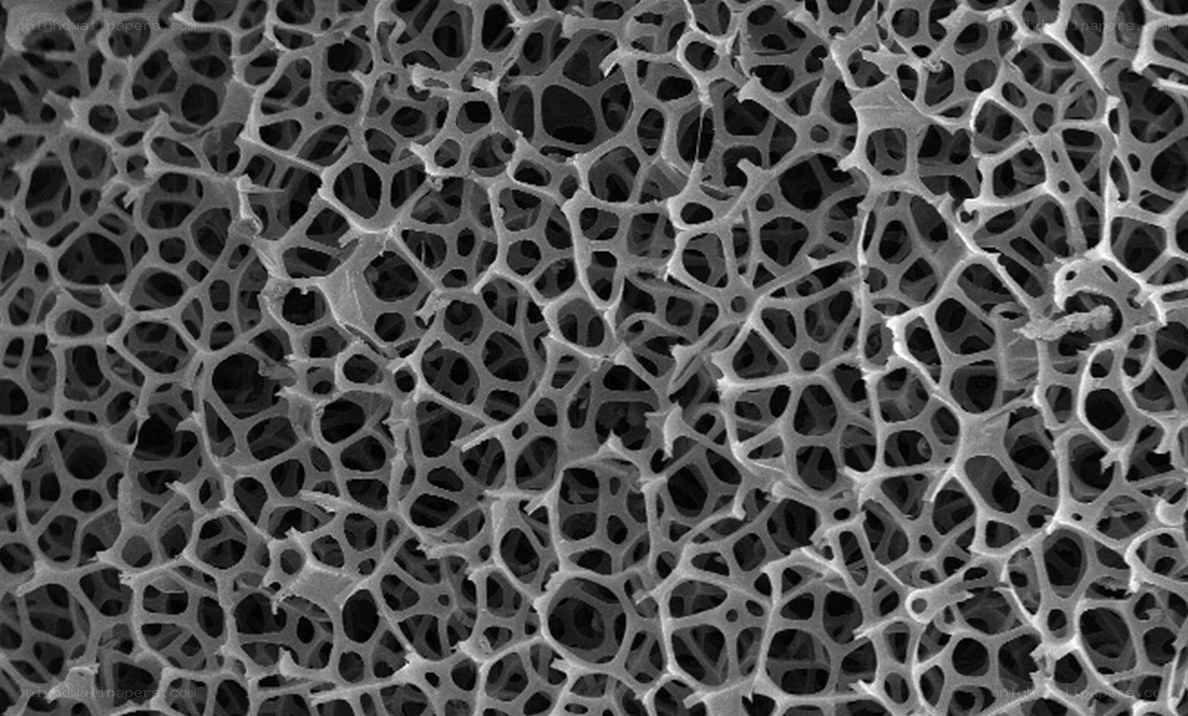 microscopic porous structure