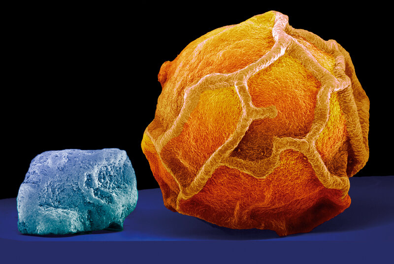Microscopic rock structures