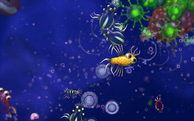 Microscopic sea life animation