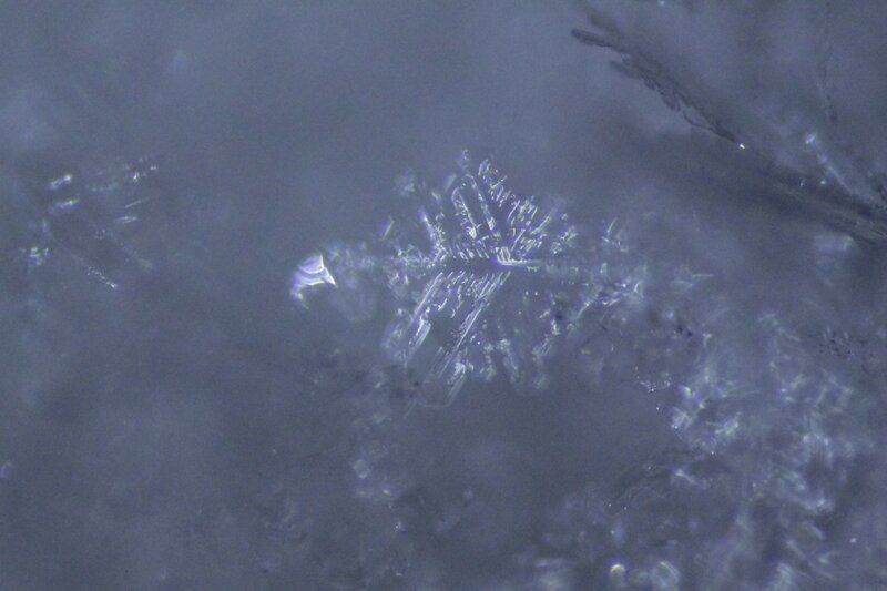 microscopic snowflake structure