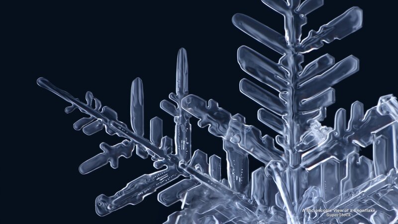 Microscopic Snowflake