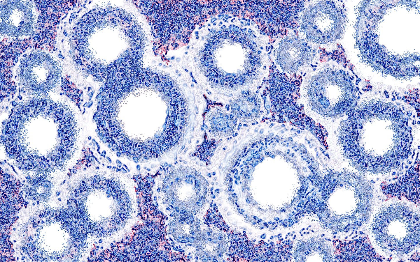 microscopic tissue structure