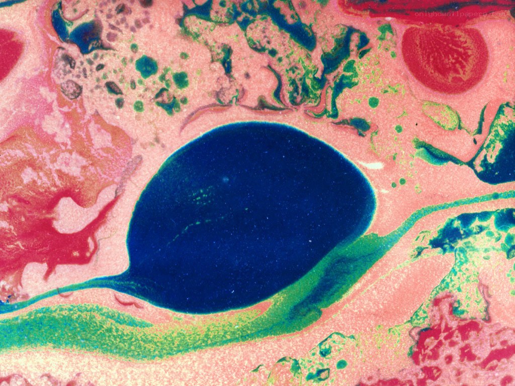 Microscopic view of a cell