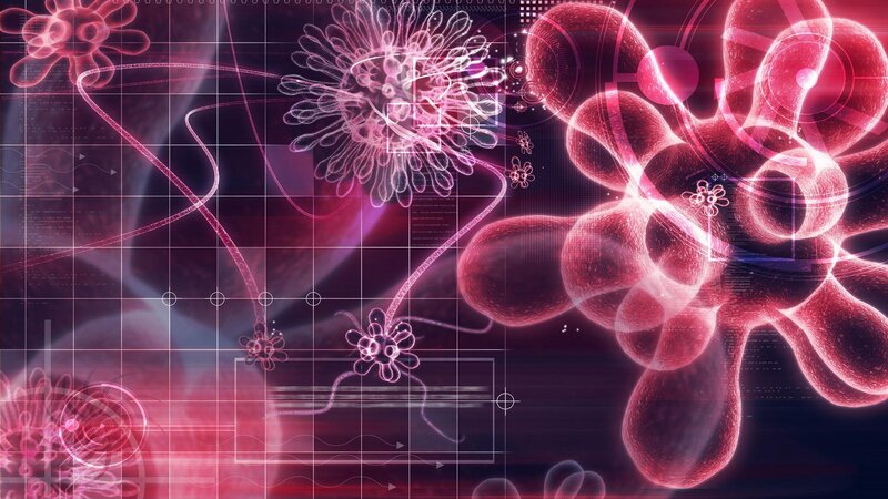 Microscopic view of cells and viruses