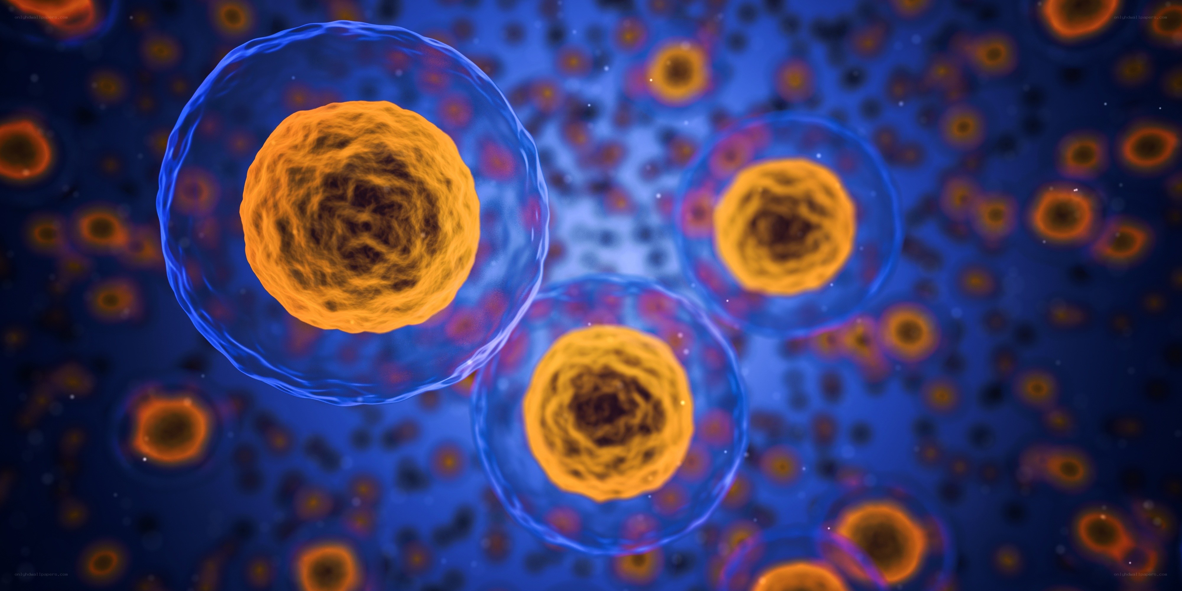 Microscopic view of cells