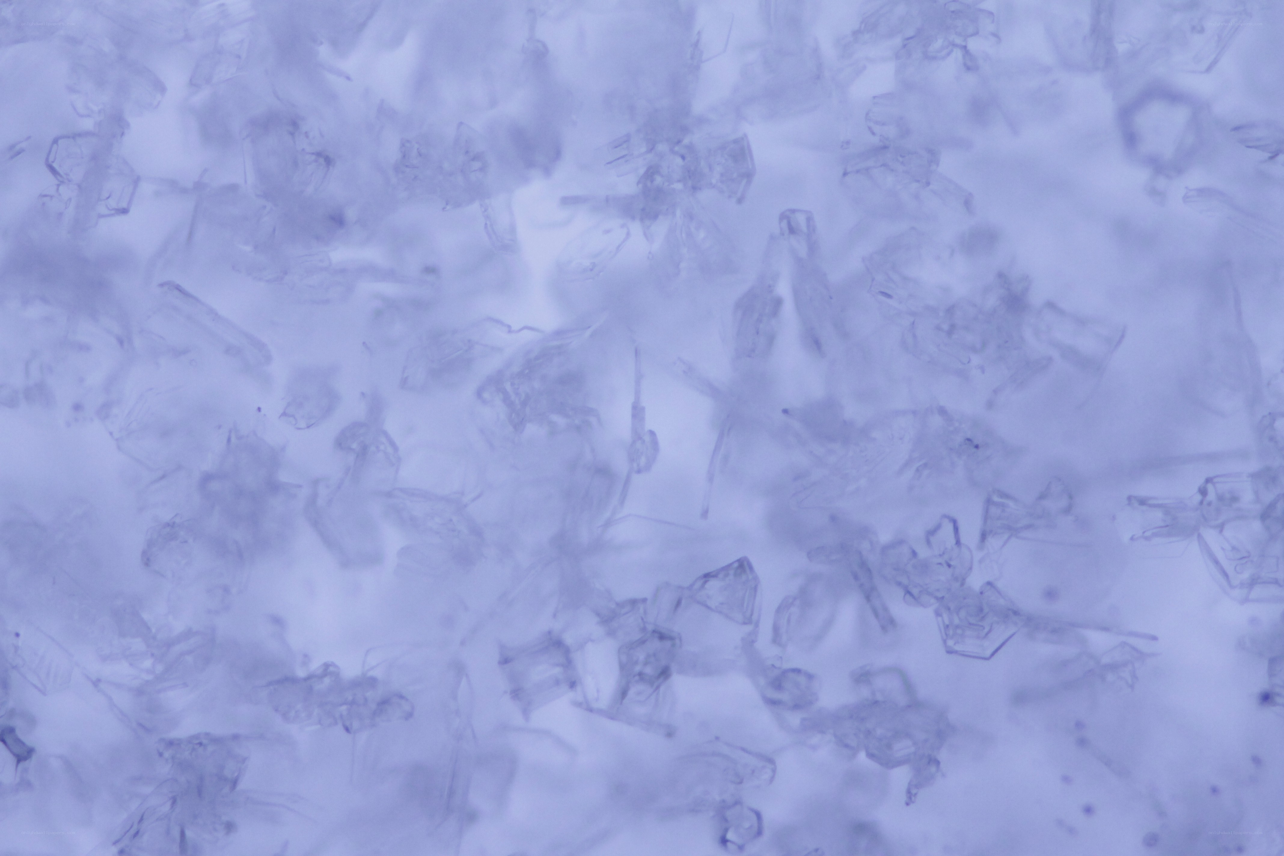 microscopic view of crystals
