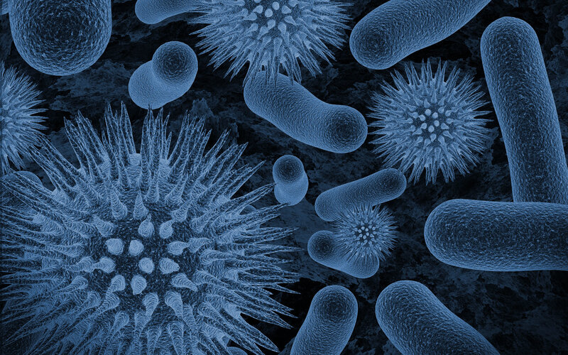 Microscopic view of microbes