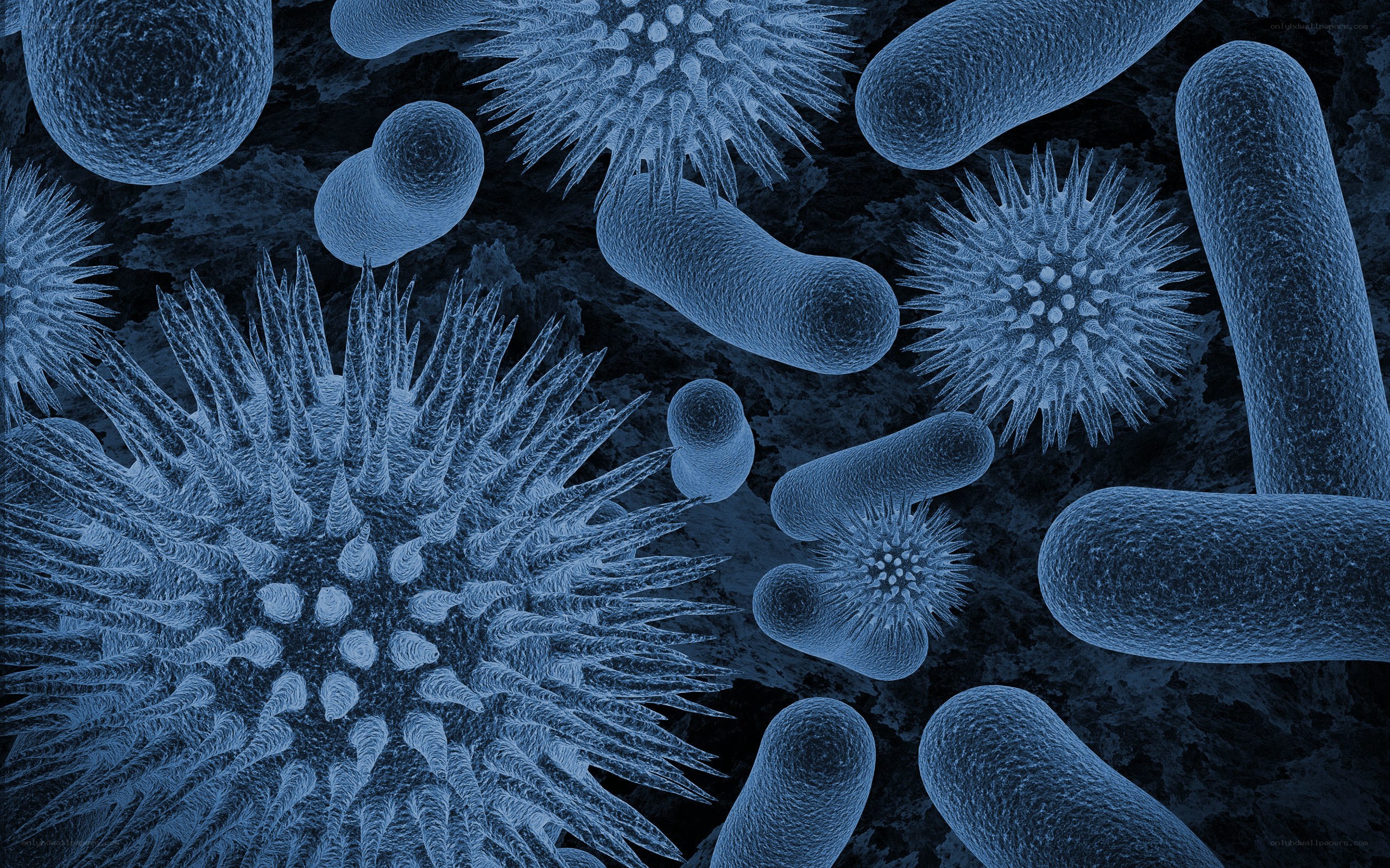 Microscopic view of microbes