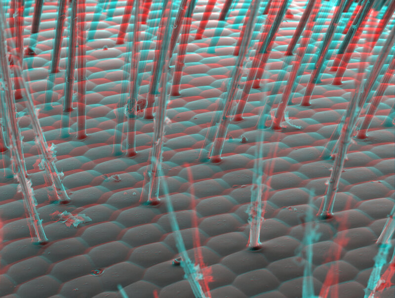 Microscopic view of nanowires