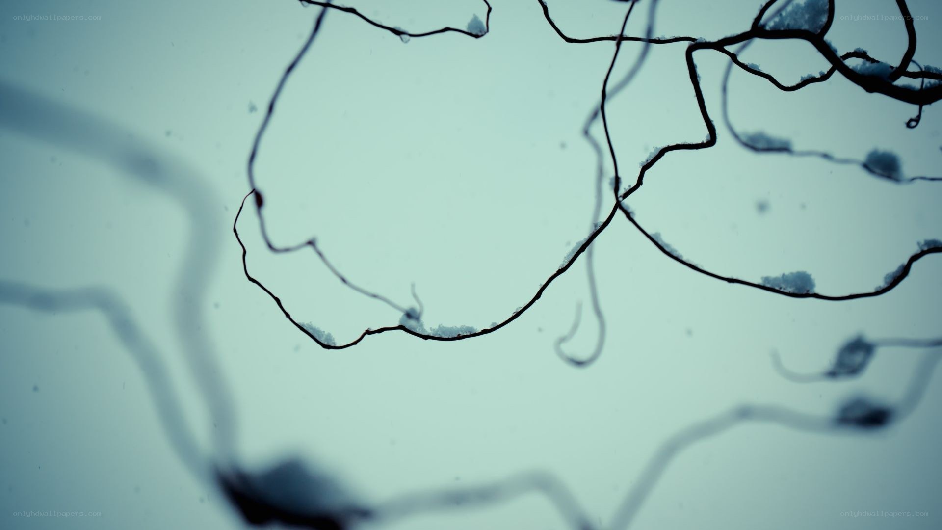 Microscopic view of neural network