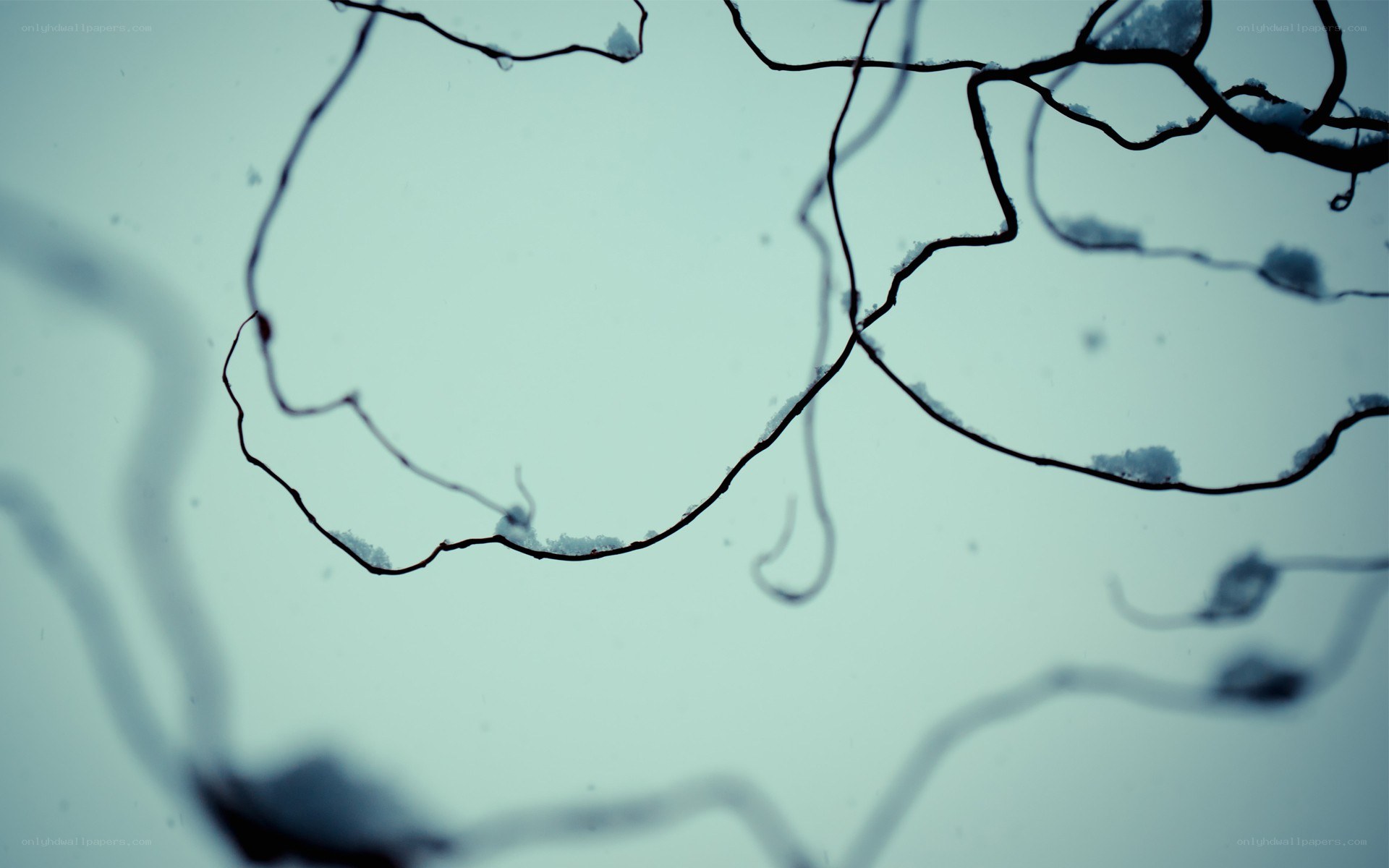 microscopic view of neural network