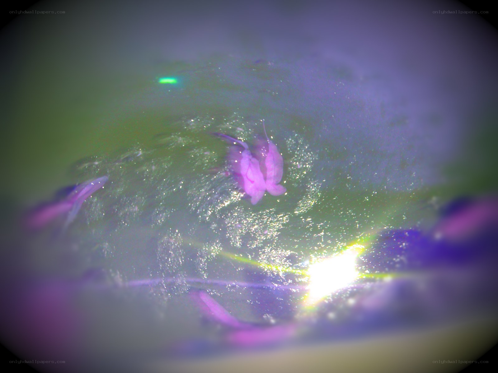 microscopic view of particles
