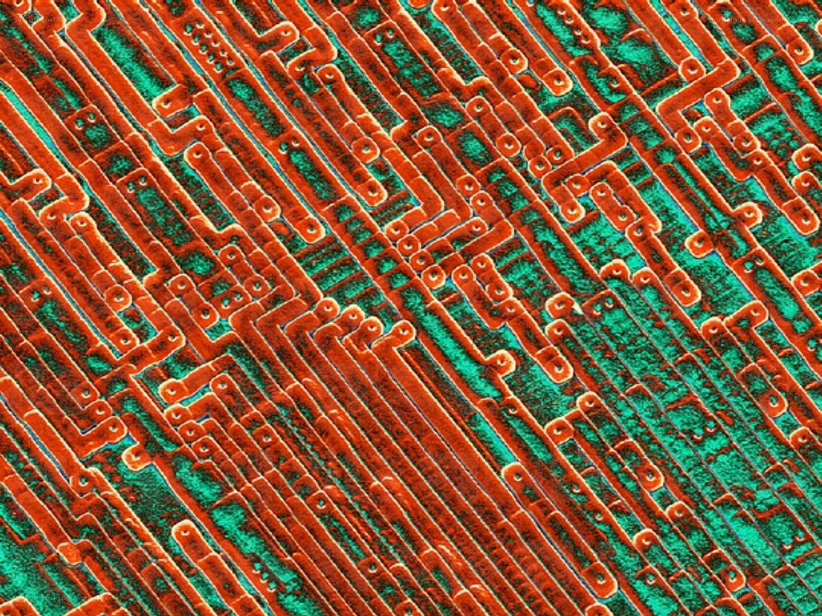 Microscopic view of virus structures