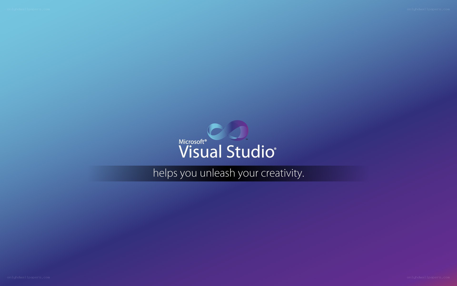 Microsoft Visual Studio splash screen