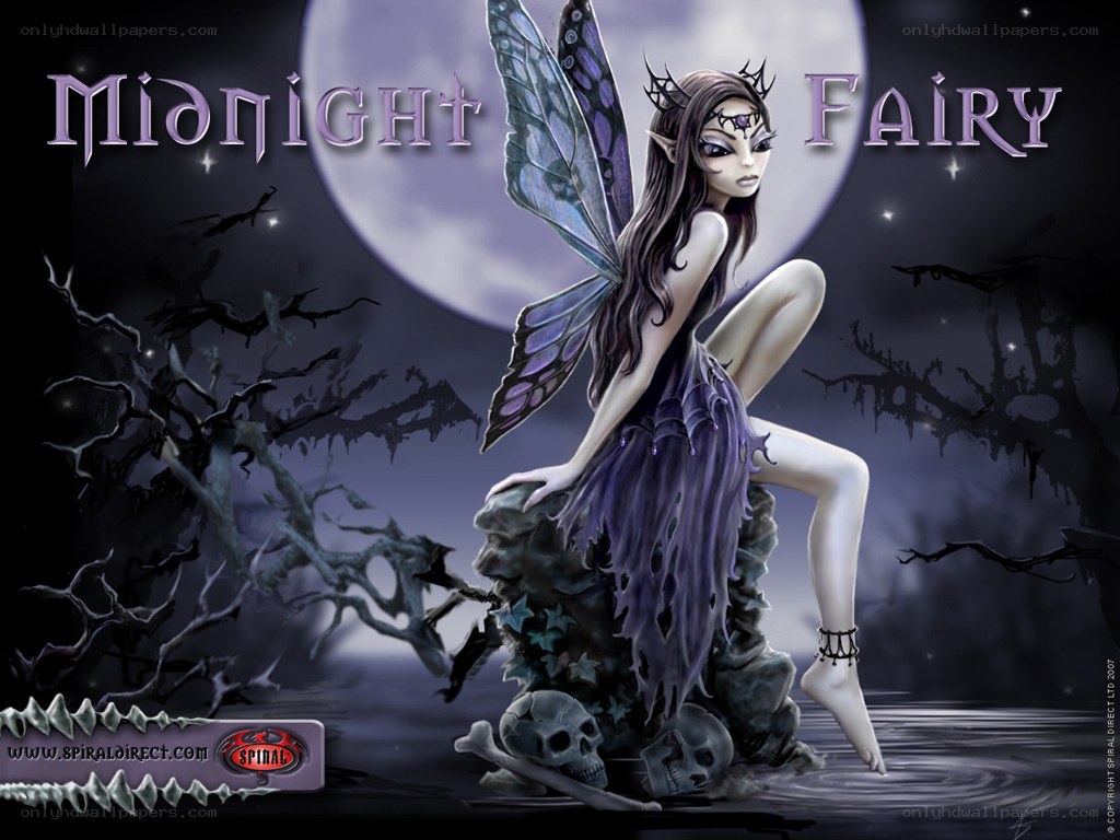 Midnight Fairy Art