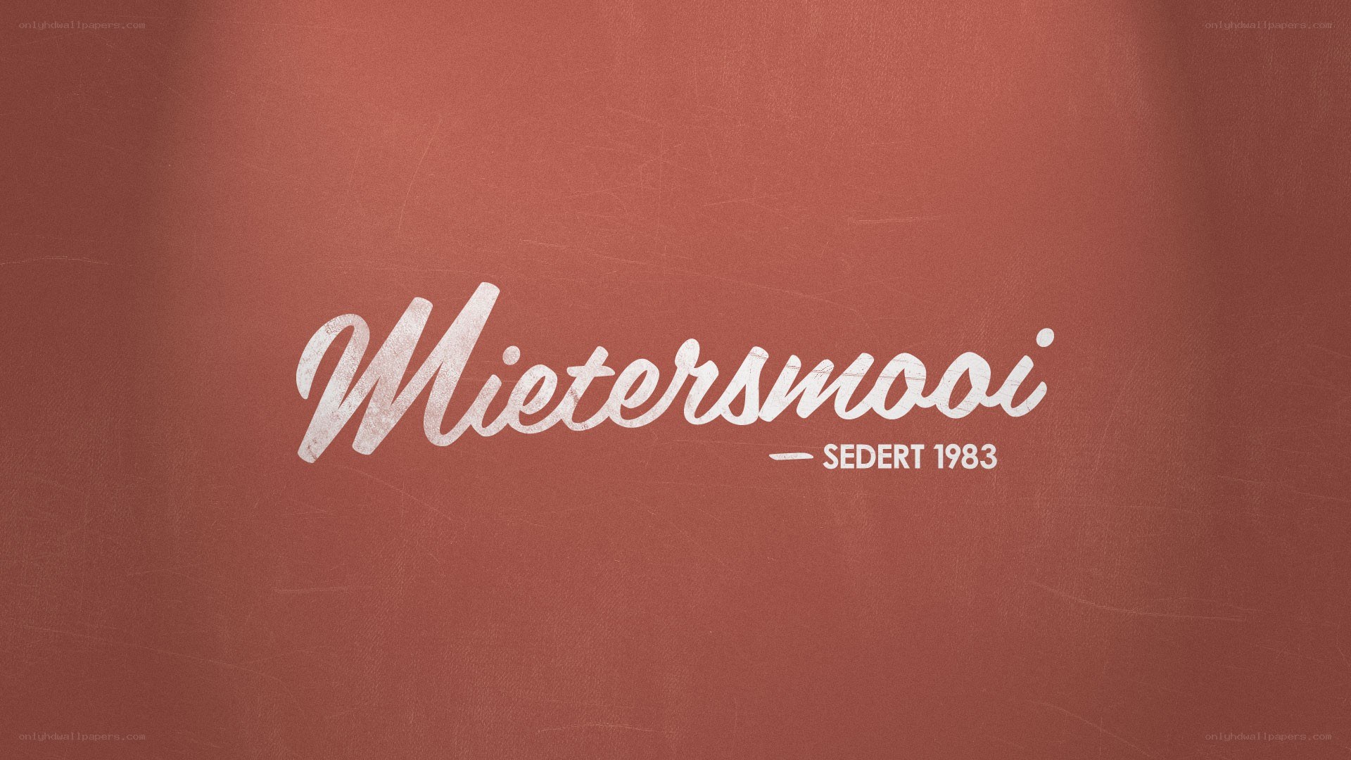 Mietersmooi logo design