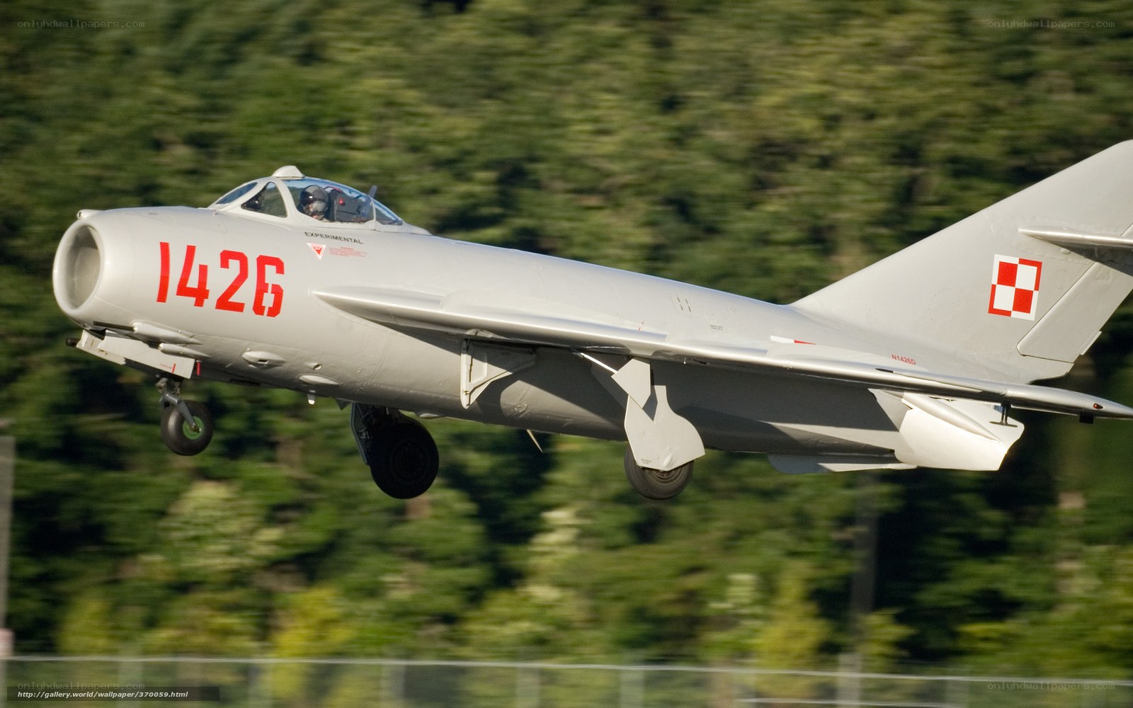 MiG-15 jet in flight