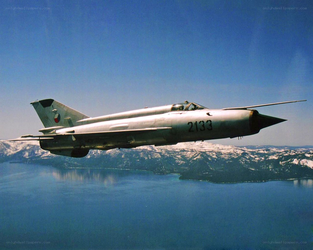 MiG-21 jet in flight