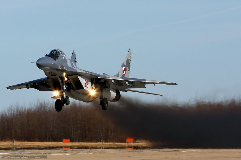 Mig-29 Fighter Jet — Gray, Dramatic, Afternoon, Photograph, Runway, Trees