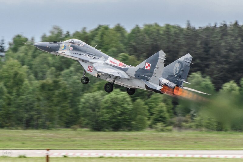 MiG-29 Fighter Jet — Gray, Dynamic, Afternoon, Photograph, Forest