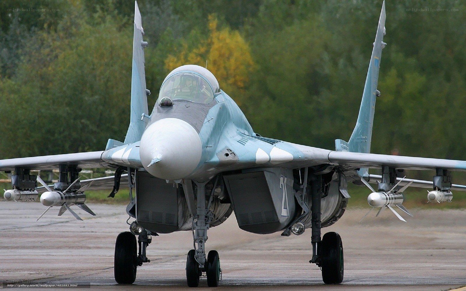 MiG-29 fighter jet on tarmac