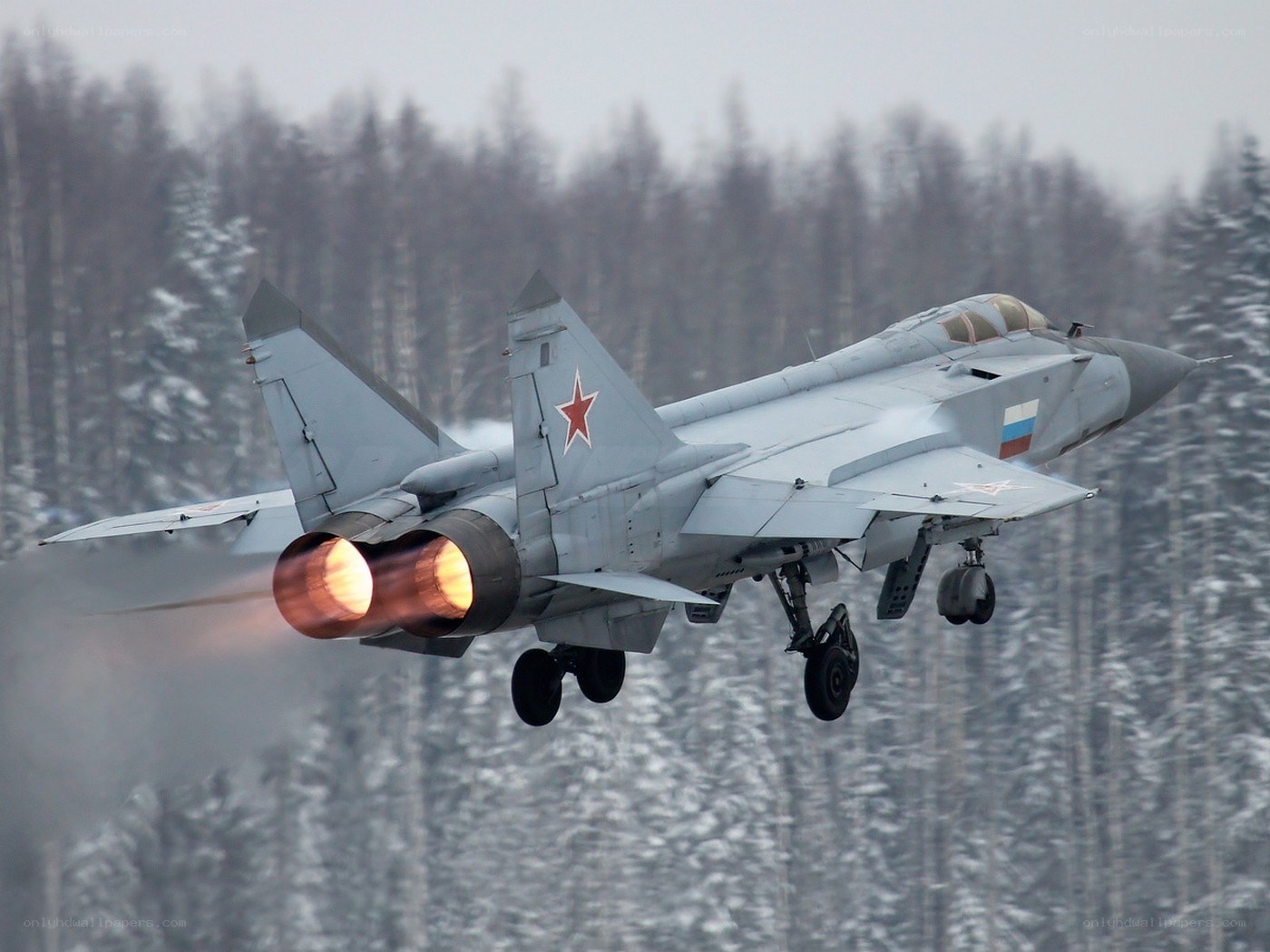 MiG-29 jet in flight