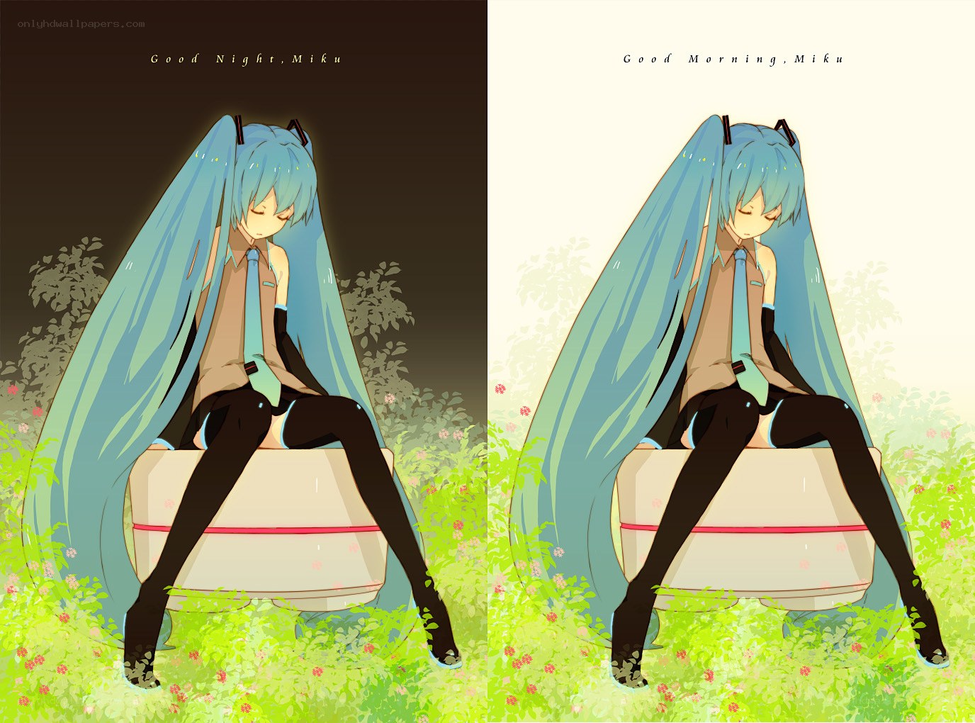 Miku at dawn and dusk