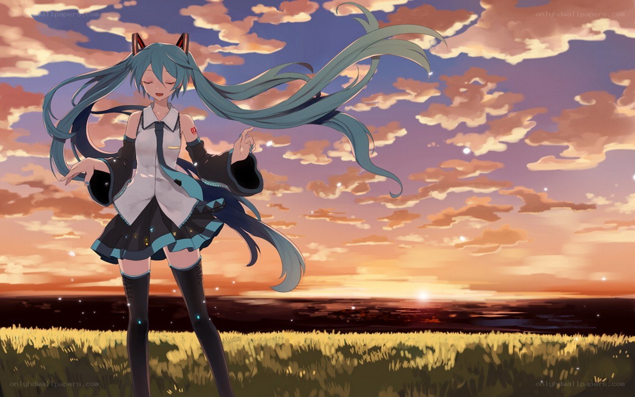 Miku at sunset in a field