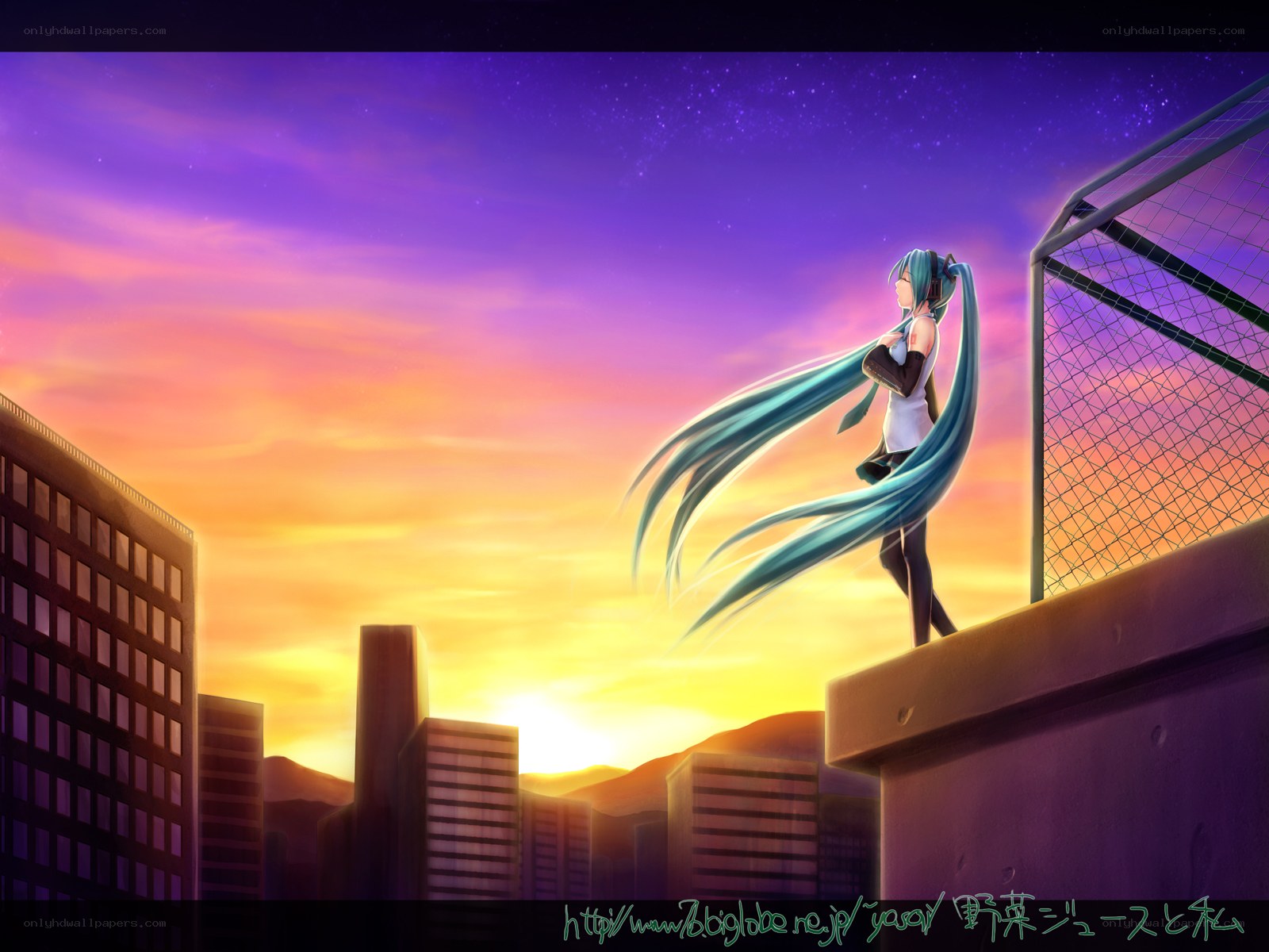 Miku at sunset on a rooftop