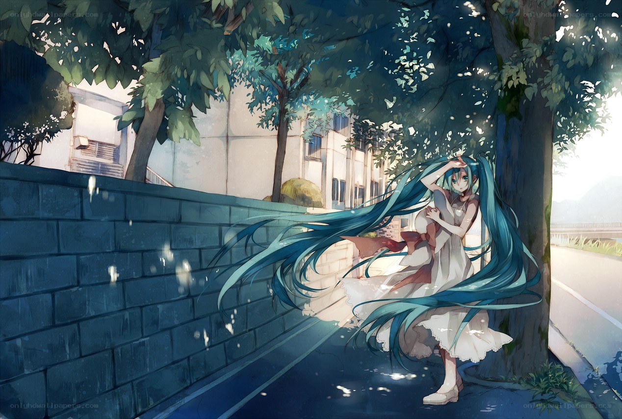 Miku by a tree in sunlight
