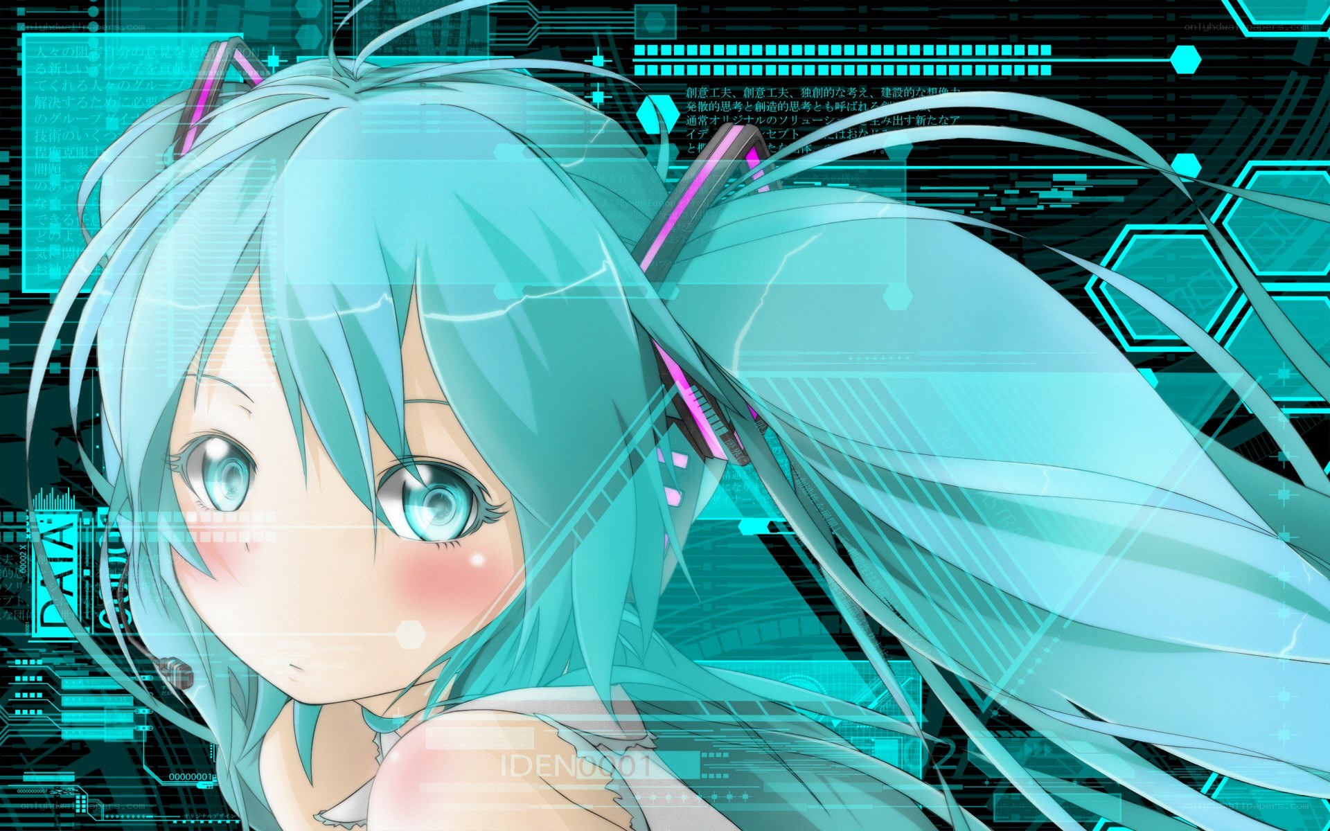 Miku in a digital world