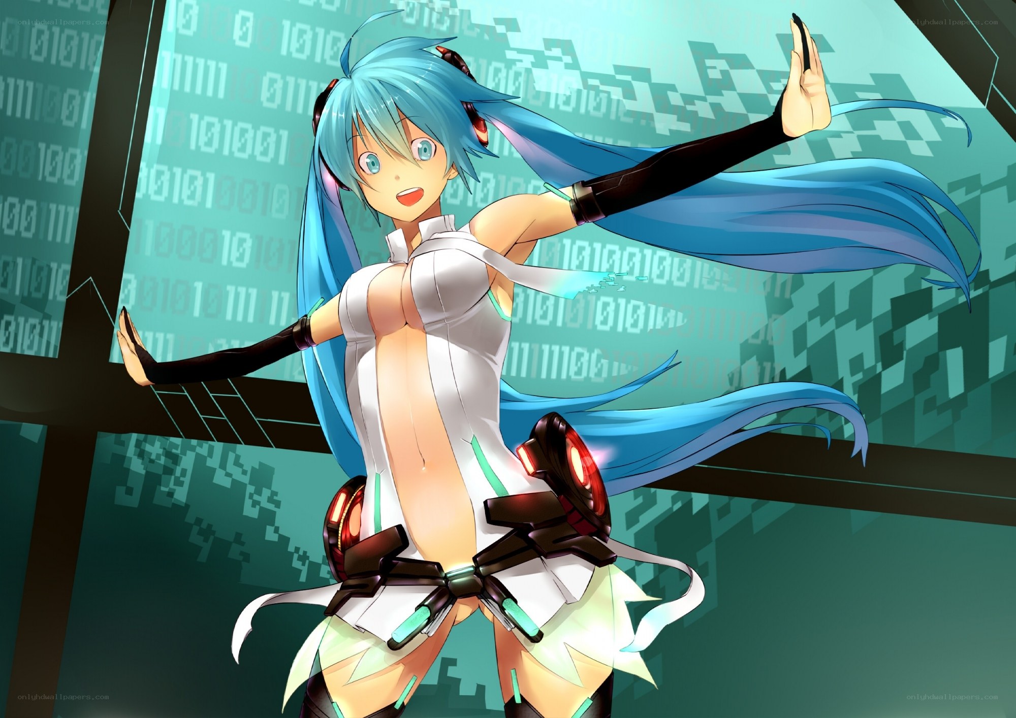 Miku in a digital world